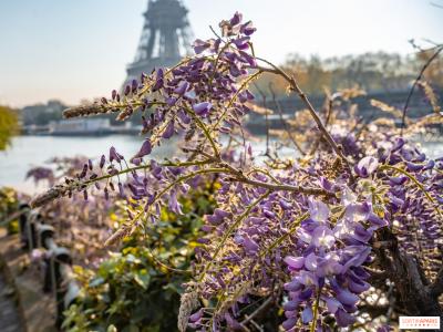 Paris in May